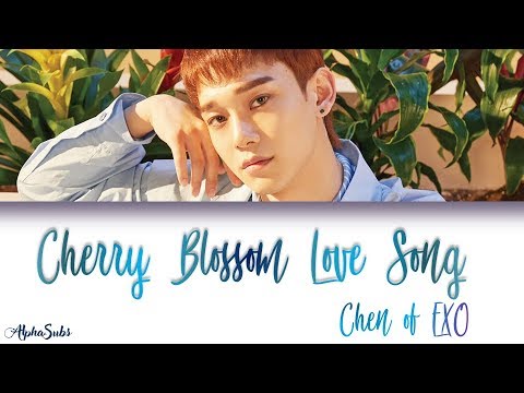 download lagu mp3 mp4 Cherry Blossom Love Song Chen, download lagu Cherry Blossom Love Song Chen gratis, unduh video klip Cherry Blossom Love Song Chen