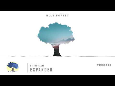 Pieter Ellis - Expander (Radio Mix)