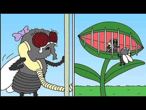 Cute Comics But Not So Cute Endings #3 || Funny Buni Comics