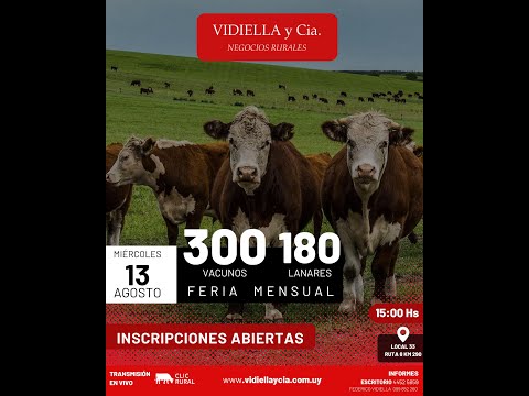 13/08/2025   Feria mensual - Vidiella y Cia /  Local 33 en la calera - Treinta y Tres