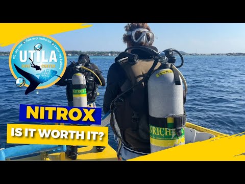 NITROX - IS IT REALLY WORTH IT? - UTILA DIVE CENTER