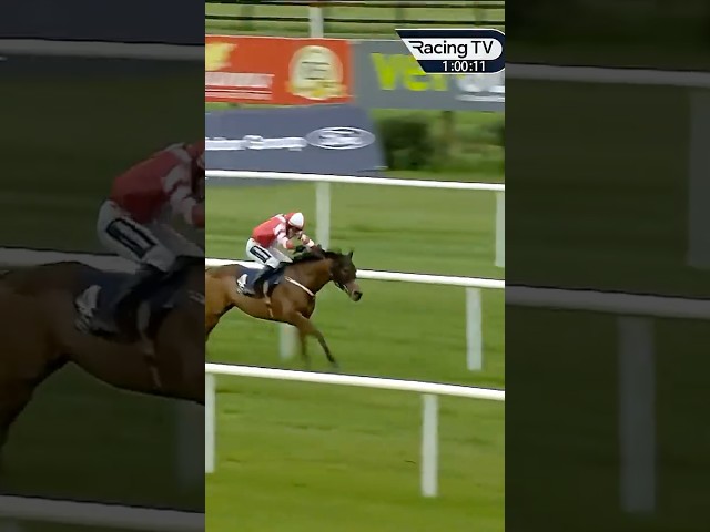 Thumbnail for Post ID: dKdX7ZXtdko