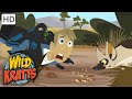 Wild Kratts | Termites Versus Tongues | Full Episode | Season 2