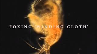 Foxing - "Winding Cloth" (Official Audio)