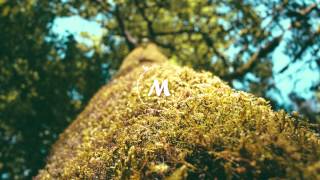 Olafur Arnalds - TREE