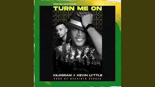Turn Me on (feat. Kevin Lyttle &amp; Amrita) (Bollywood Mix)