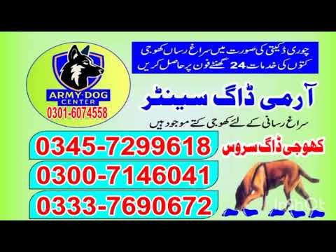 Army Dog Center Karachi Hyderabad Larkana Sukkur Sujawal Badin Rahim Yar Khan Sadiqabad