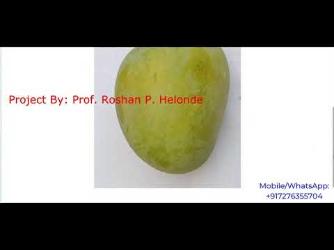 Mango Fruit Disease Detection Using Image Processing With Source Code Python Project Code