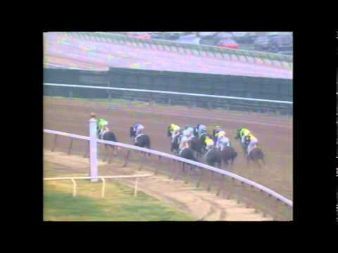 Colonial Affair - 1993 Belmont Stakes