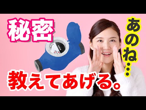 庭の水道メーター: これが庭師が下水道料金を節約する方法です トピックス