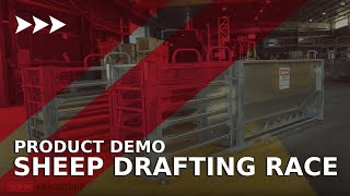 Download lagu Sheep Drafting Race Demo - Easiest Way To Draft Sheep mp3 Download lagu Sheep Drafting Race Demo - Easiest Way To Draft Sheep mp3