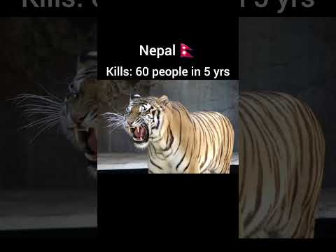 Tiger Kills of each country #viralvideo #youtubeshorts