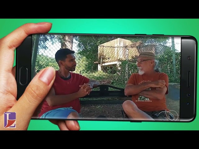 Vídeo relacionado con Libérate de la frustración (Libérate de... nº 9)