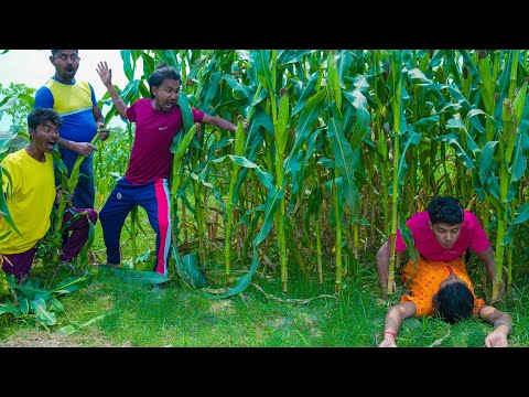 Funniest Fun Amazing videos must Entertainment comedy 2025🤣Try To Not Laugh Episode 246 By Fun Tv 24