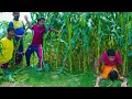 Funniest Fun Amazing videos must Entertainment comedy 2025🤣Try To Not Laugh Episode 246 By Fun Tv 24