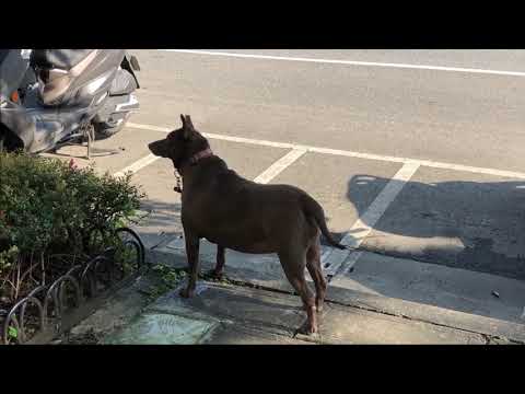 Estrada do beco da cidade de Taipei até a estação ①