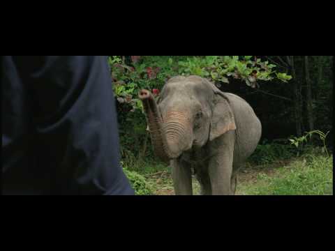Mammoth Movie Trailer