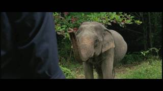 Mammoth - Trailer 1 [HD]