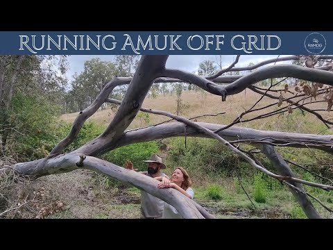 Hail The Mighty Gum Tree! | S2 E23