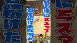 【マイクラ】可愛いけど所々あやしいはかちぇのマイハウス【にじさんじ/葉加瀬冬雪】【Minecraft】