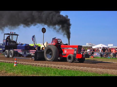 3,5 t Sport Trecker Treck in Sonsbeck 2021