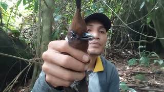 Download lagu mikat cililin cuma pake mp3 mp3