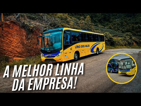 DE MOTOR DIANTEIRO NA LINHA  SANTA LEOPOLDINA