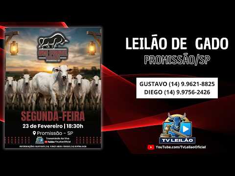 BOI FORTE LEILÕES AO VIVO - PROMISSÃO - SP | LEILÃO DE GADO | 23/02/2026