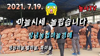 2021년 7월 19일 창녕농협 마늘 경매 시세, 최고가 1kg당 5,500원/ 한망 20kg 가격은 11만…