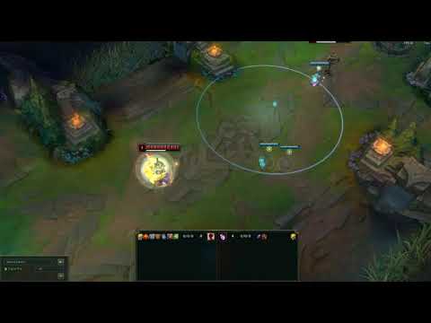 Lee sin Practice tool trick