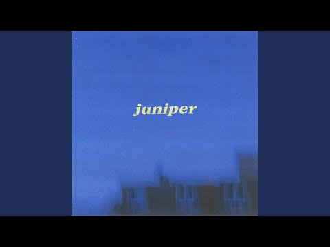 Juniper