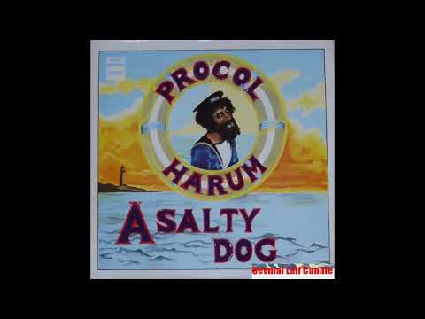 P̤r̤o̤c̤o̤l̤ ̤H̤a̤r̤ṳm̤  A̤ ̤S̤a̤l̤t̤y̤ ̤D̤o̤g̤ 1969 Full Album