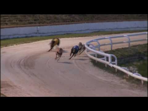 2017 RPGTV SCOTTISH DERBY - SHAWFIELD - 1ST SEMI - T1 AZZURRI GENESIS