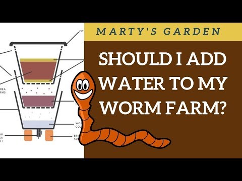 Should I add Water to My Worm Farm? Subscriber Question