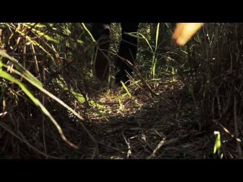 Buxton Records PROMO Video  'A Path Within' Adam Swain & James Hunter