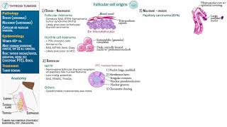 Thyroid Tumors by Ditki, Medical & Biological Sciences