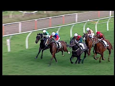 Trotto 11/01/2021 - 2ª corsa