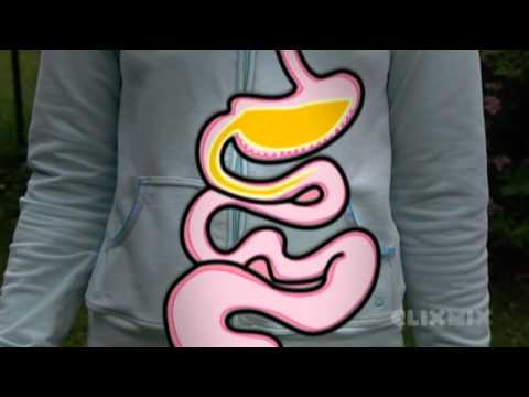 Knowledge mix: How does digestion work?