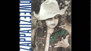 &quot;Gotta Get To You&quot; by Dweezil Zappa