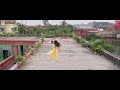 Padi Padi Leche Manasu Video Songs Sharwanand Sai Pallavi