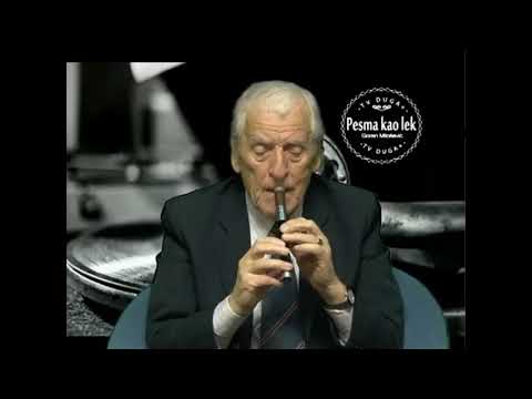 Tihomir Paunović - Budimka (uživo)