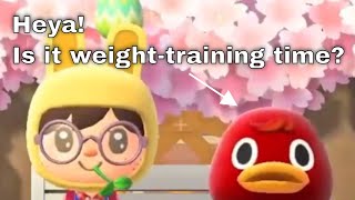 Best Cute Funny Moments of Bill - Animal Crossing New Horizon (ACNH)