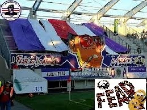 "Austria Wiens" Antwort auf das Video von "Fans of SCR Altach" ?