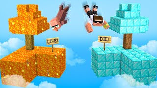Download lagu Carry Vs Doorbin Choose the Right Skyblock in Minecraft.. mp3