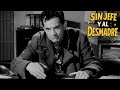 Sin Jefe Y Al Desmadre Película Hecha En México GRATIS