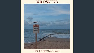 Seabird (Acoustic)