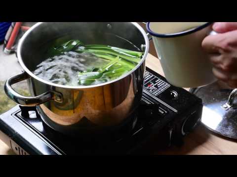 download lagu mp3 mp4 Pandan Water, download lagu Pandan Water gratis, unduh video klip Pandan Water