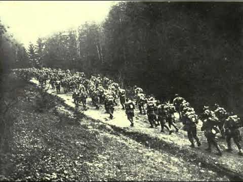 Battle of Transylvania | Wikipedia audio article