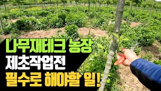 나무재테크 농장 제초작업전 필수로 해야할 일 | 나무대장