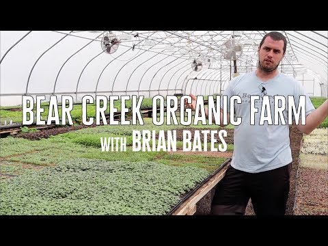 What Cuba can teach America about organic farming